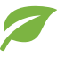 Green Leaf Icon